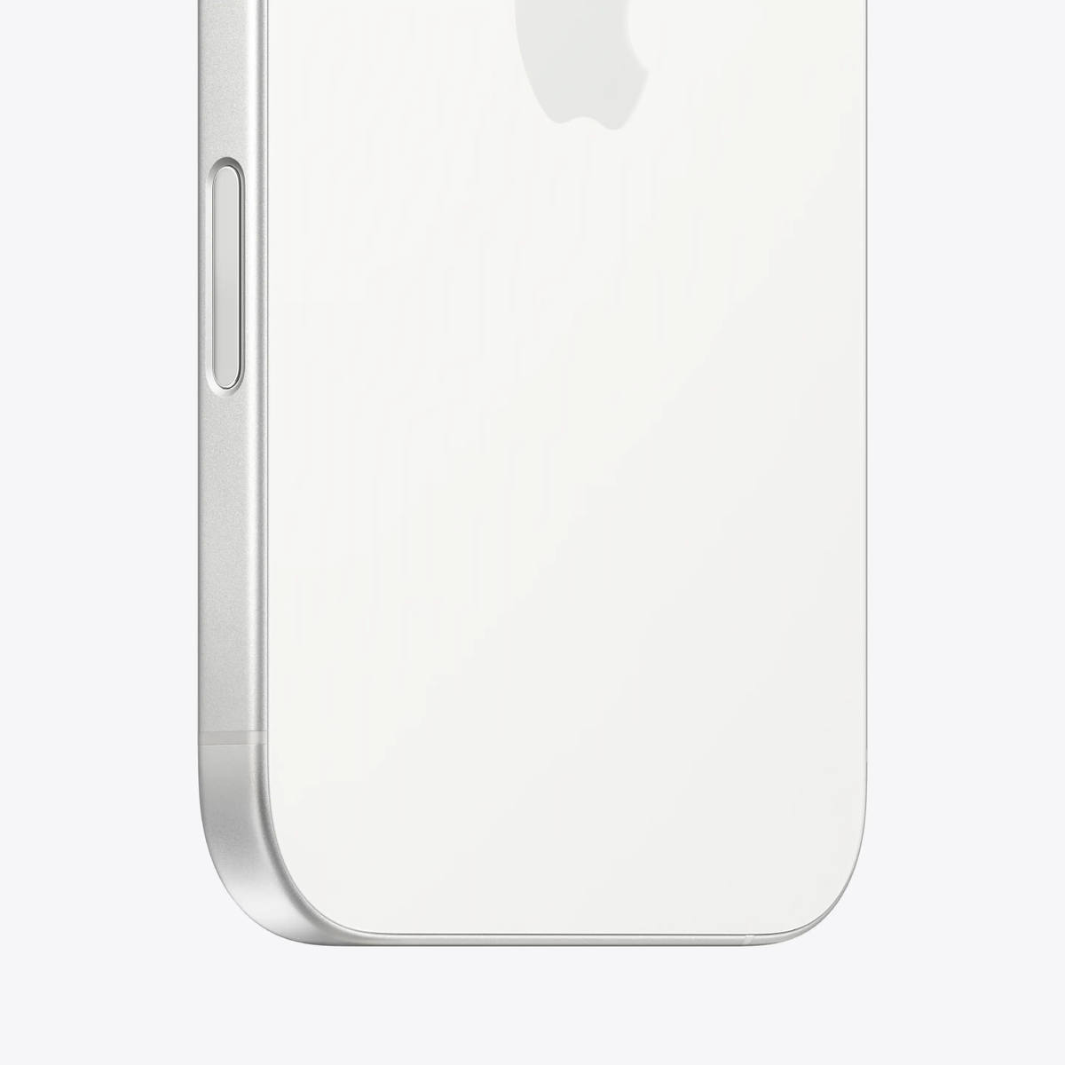 #color_white