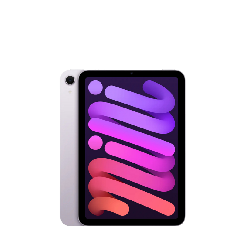 iPad mini