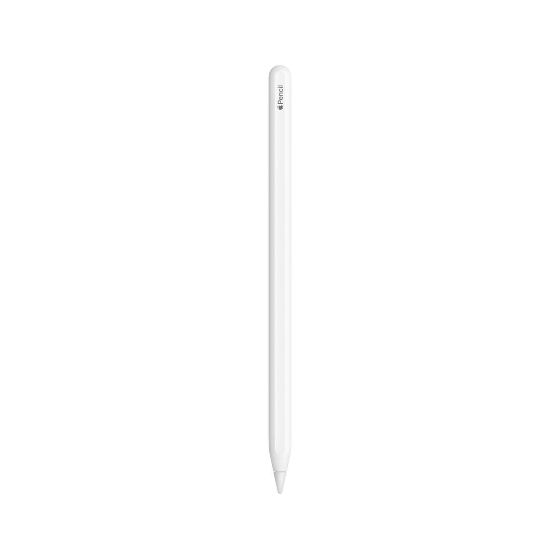 Apple Pencil (2nd Gen) price in Sri Lanka | Francium.lk