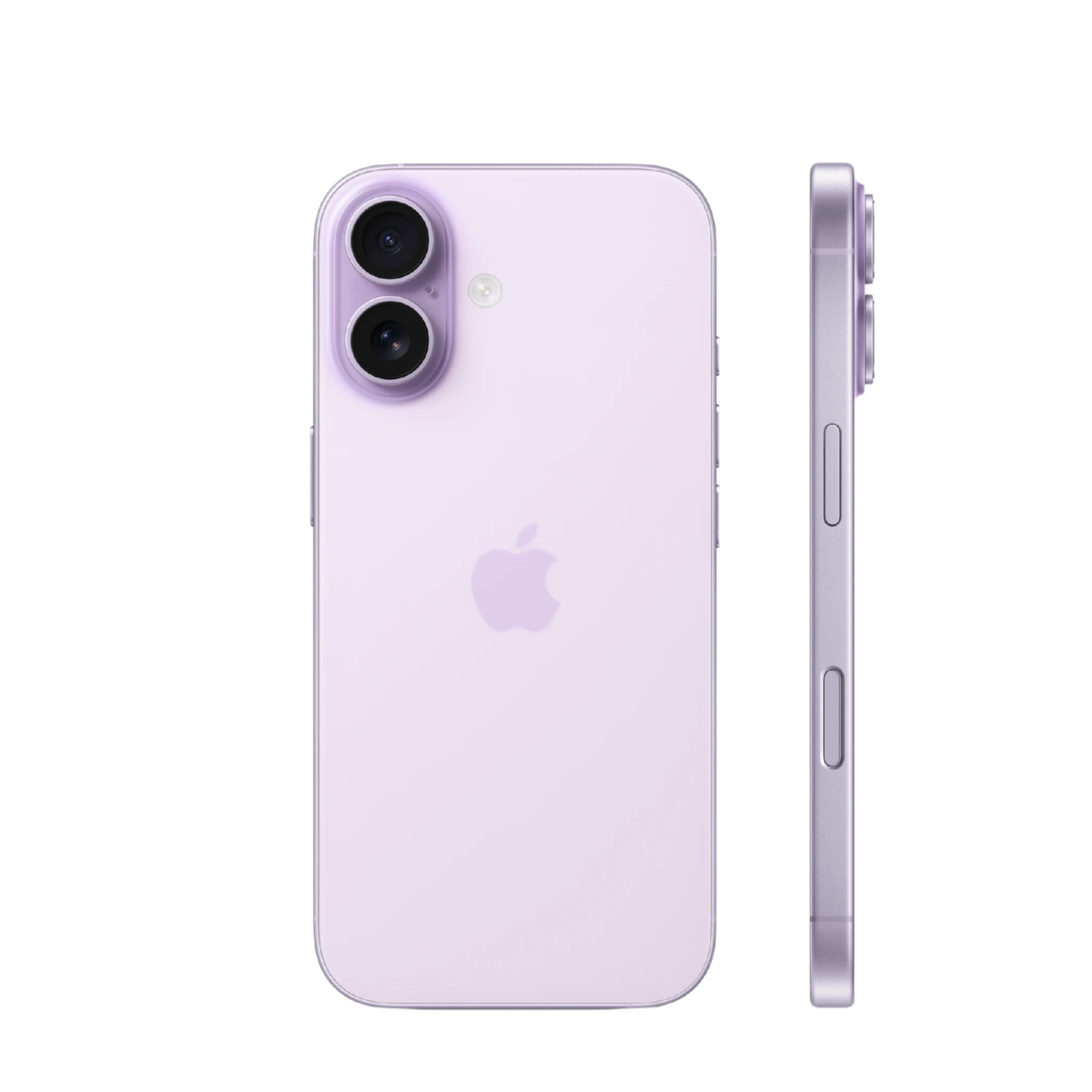 #color_lavender